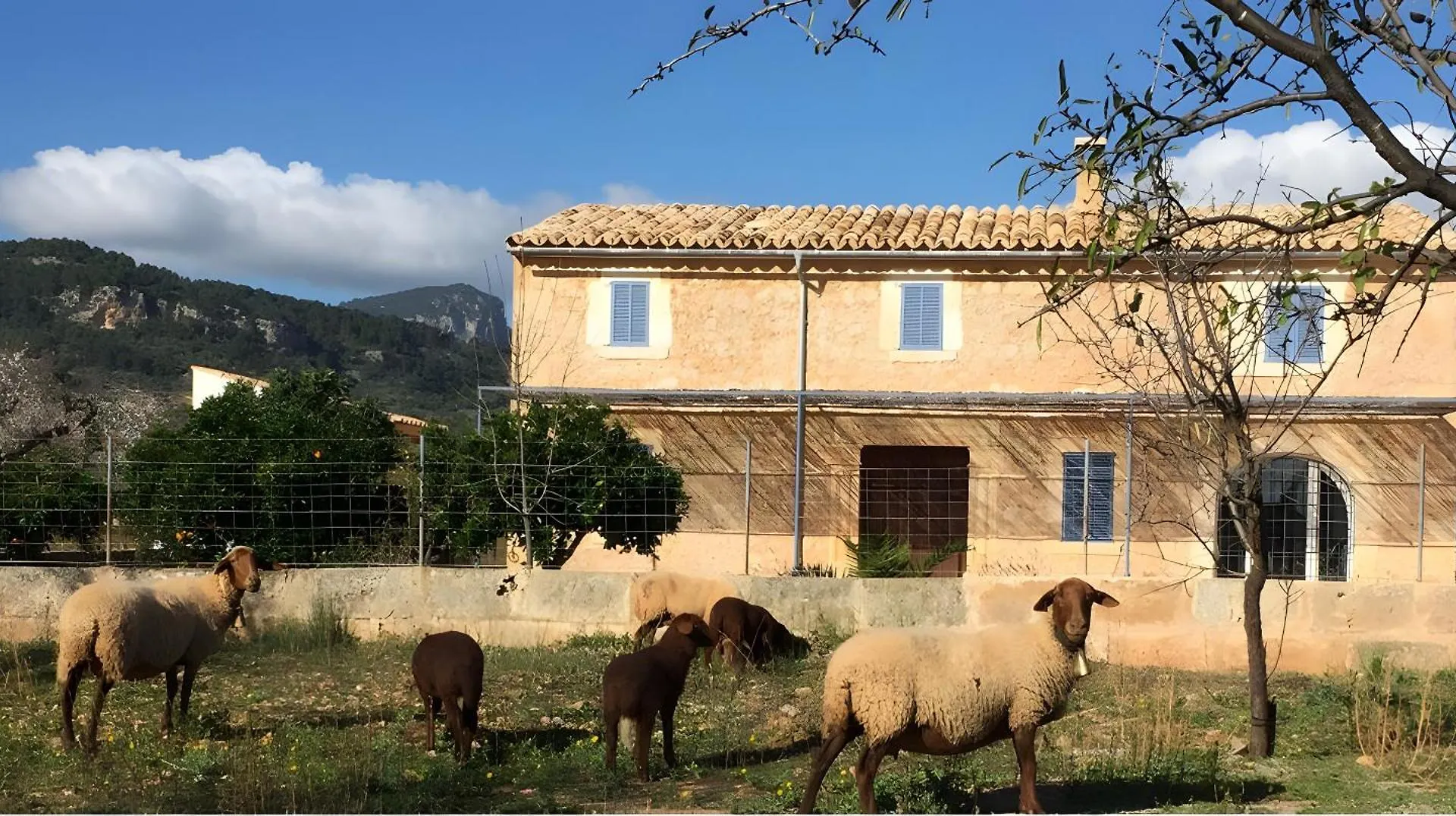 Son Pelai Menut Vila Lloseta